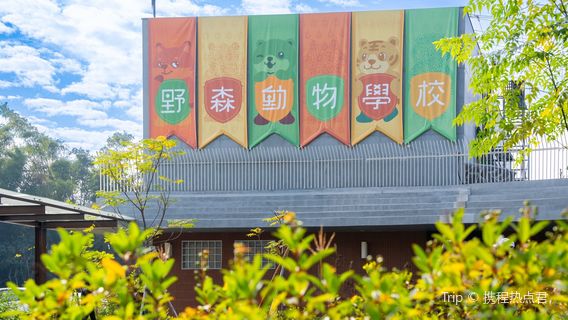 Yessen Animal School