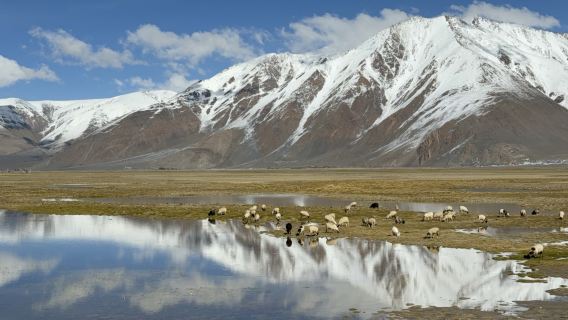 Qomolangma National Nature Reserve (Gading Route)
