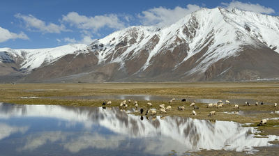 Qomolangma National Nature Reserve (Gading Route)
