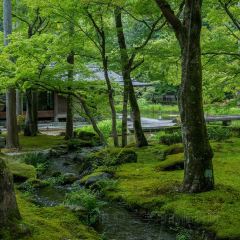 Tamakitei 여행 사진