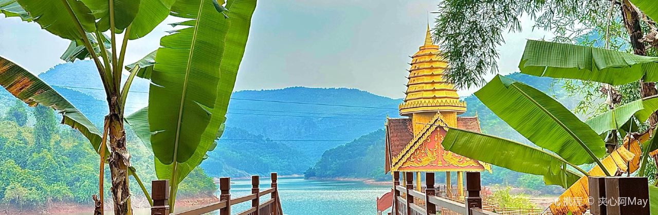 热带雨林望天树景区