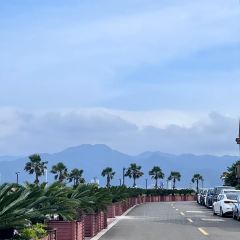 宁海强蛟镇峡山包船75号船 User Photo