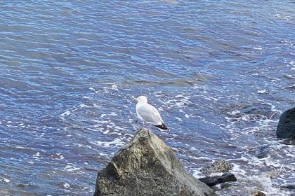 The Honey Pot PZ Ltd