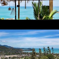 The Cocoon RESTAURANT & BAR User Photo