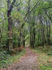 Les Gorges d'Apremont