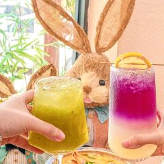 桔悠米張用戶圖片