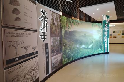 大益茶庭(勐海会员中心店)