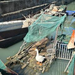 泊隐·花境 User Photo