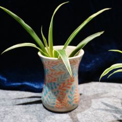 阿国牛肉丸 User Photo