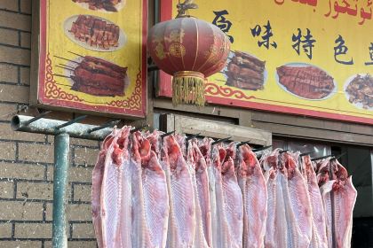 真实阿特米热斯冰激凌店