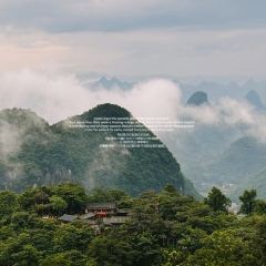 四哥柠檬茶 여행 사진