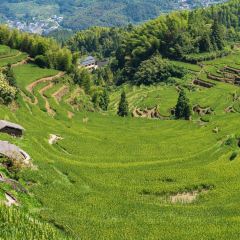 云端美咖 User Photo