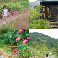 XIAN •RESTAURANT 여행 사진