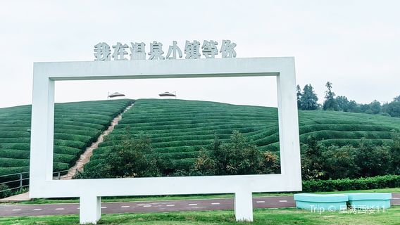 Wuyi Hot Spring Town, Zhejiang