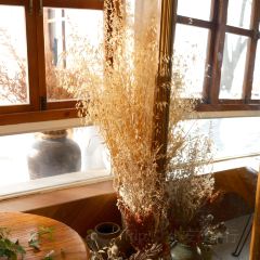 六月瓣咖啡 User Photo