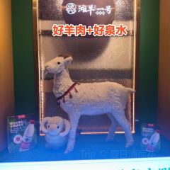 滩羊一号鲜火锅(罗斯福店) User Photo