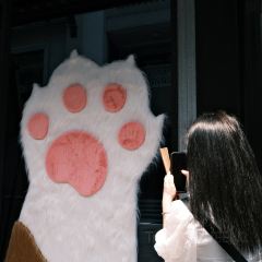 老裴鸭头.兔头 User Photo