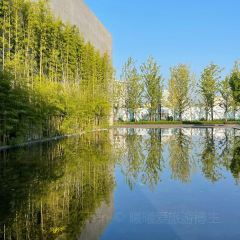 Seeing Tea User Photo