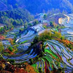 SA MA BA 여행 사진