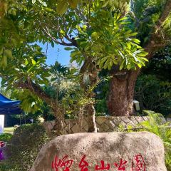 A Xin Xian Lao (Gongnong Road) User Photo