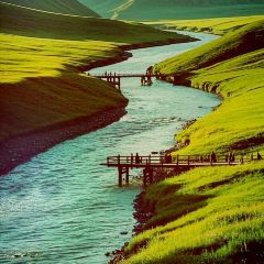 Kaysar User Photo