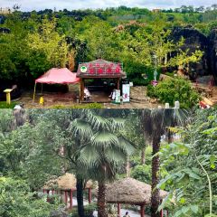 石林杏林大观园樱花峪药膳坊餐厅 User Photo