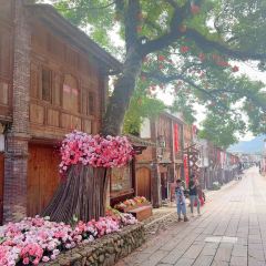 永春县五里街镇新阳光大酒楼 User Photo