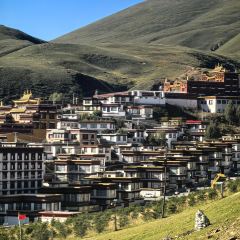 牧者民宿·餐厅 User Photo