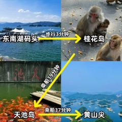 渔水谣·湖岸风味私房菜(千岛湖旅游码头店) User Photo