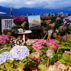 屋顶咖啡·日落甜茶·雪山花园 ·bistro User Photo