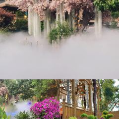 芙蓉裡•小漁村 （金星路店）張用戶圖片