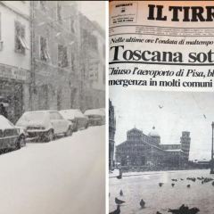 鮮入圍煮張用戶圖片