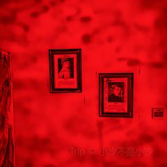 z先生密室逃脱(希望游园店) User Photo