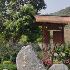 泰·咖啡 User Photo