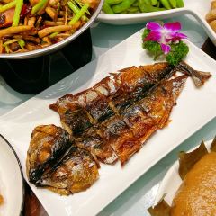 ZHOU SHAN OLD ANGLER User Photo