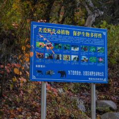 绵虒老陈记豆腐庄 User Photo