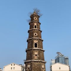 馬坪老汪拐子飯(迎賓大道)張用戶圖片