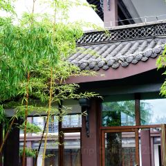 隐居茶苑 User Photo