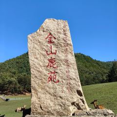 聚园春饼店 User Photo