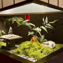 一品红养生汤煲(融汇温泉店) User Photo