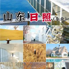 咖啡与树 User Photo