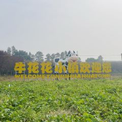 Seeing Tea User Photo