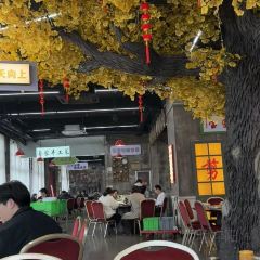 墙里墙外 User Photo
