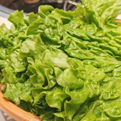 顺玉大片肉(劳动桥店) User Photo