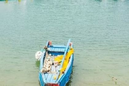 嵊泗花鸟岛佰客叁宿