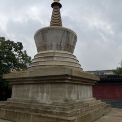 德顺源(桥华店) User Photo