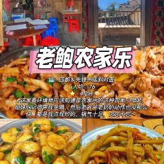 老鲍农家乐 User Photo