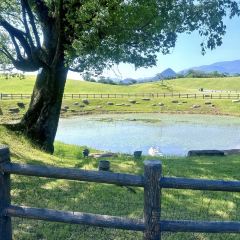 隔壁飯店張用戶圖片