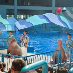 九里羊汤馆(鼓楼园林店) User Photo