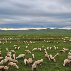 子昱饭店 User Photo